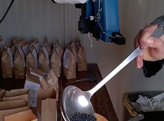 ensachage lentilles ensachage lentilles